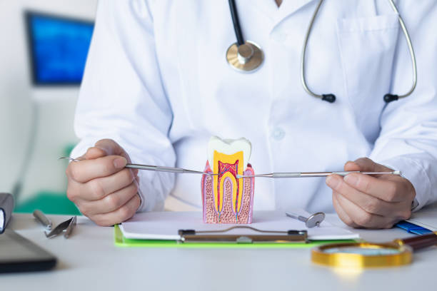 , MA Emergency Dentist Company